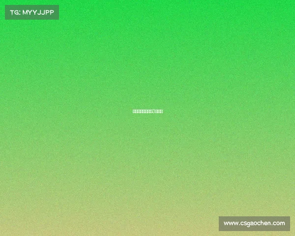 电子竞技在中国第3集内容